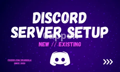 I will set up community discord server within 24 hours