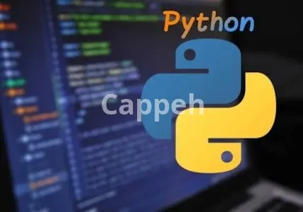 I will build tiktok bot youtube bot, mass dm bot, python bot, reddit bot, pinterest bot