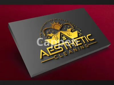 I will design striking logo concepts to elevate your brand