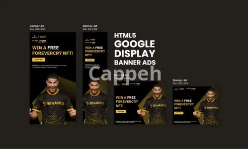 I will create animated HTML5 banner ads or google display ads