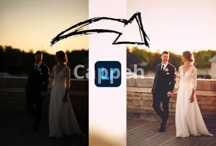 I will wedding photo editing lightroom with culling