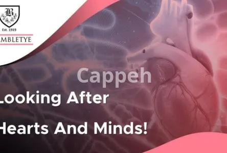 I will do powerpoint presentation and investor pitch deck design