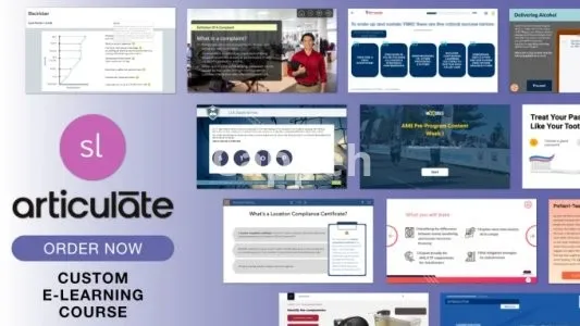 I will design a scorm, xapi compliant elearning course in articulate storyline