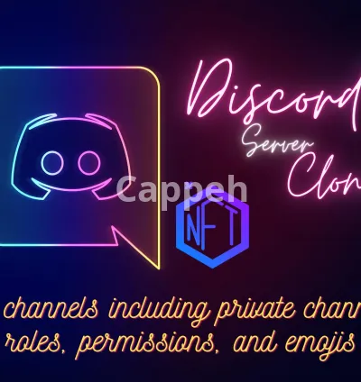 I will clone any discord server