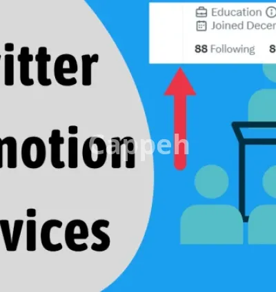 I will repost your brand to over 700,000 twitter followers