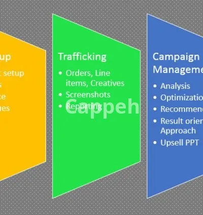 I will manage your dfp adex programmatic campaigns with best kpis