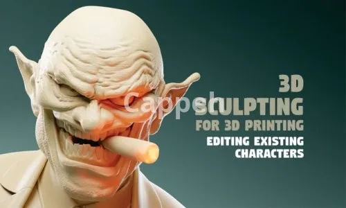 I will sculpt a 3d character model for stl 3d printing, dnd, nft