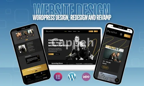 I will design, redesign, build and revamp wordpress website with elementor pro