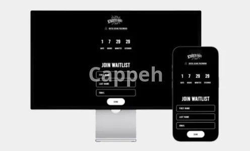 I will create your streetwear shopify website for your clothing brand store