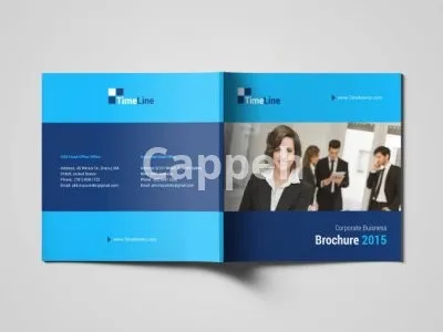 I will design your brochure, booklet, magazine, proposal, white paper, flyer