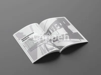 I will do any adobe indesign work