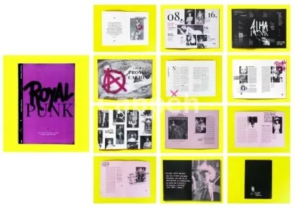 I will indesign job brochure newsletter book