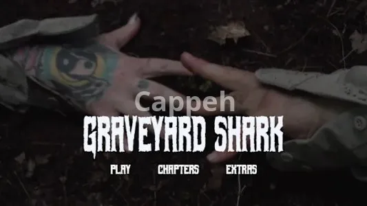 I will design and author an awesome dvd or blu ray menu