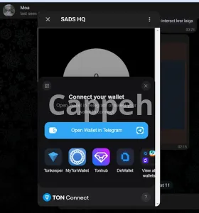 I will make crypto miniapp,webapp,game on telegram