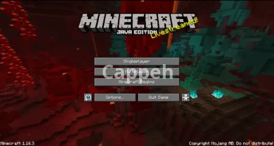 I will beta test your minecraft server or game idea