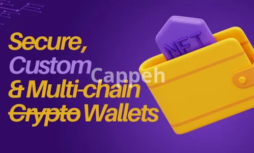 I will create web3 secure decentralized crypto wallet with all features