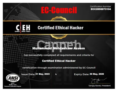 I will do penetration testing, cyber security testing of your website or anything