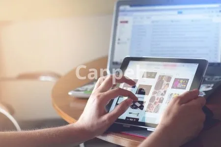 I will do app testing and website testing,QA,iphone,ipad,and android user testing