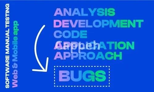 I will provide professional software testing services