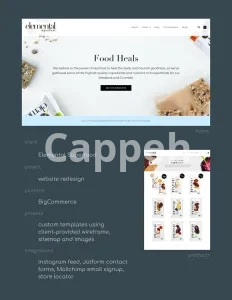 I will evaluate a wordpress website and provide a written report