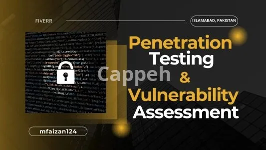I will perform security evaluation, penetration testing to secure digital assets