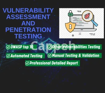 I will do vulnerability assessment and penetration testing with a professional report