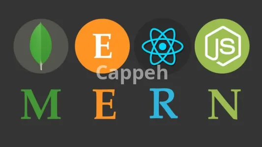 I will develop your web app with react,nodejs, and API integration