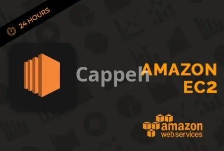 I will your cloud guy aws, gcp, digital ocean, solution architect