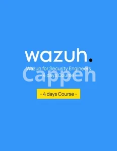 I will setup wazuh, suricata, elasticsearch, siem, elastic security