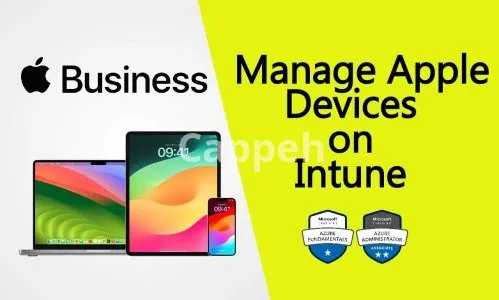 I will manage your apple devices with intune