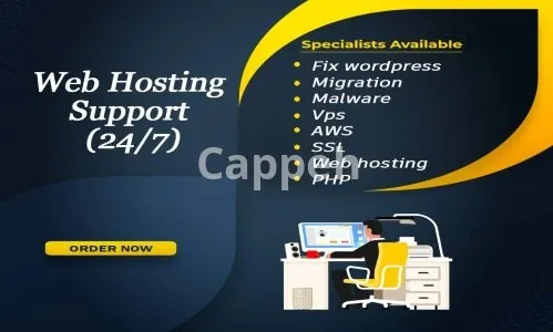 I will do wordpress, migration, malware, vps, AWS, web hosting, PHP