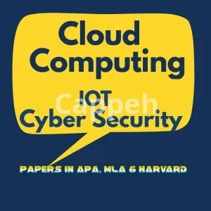 I will write cloud computing, iot papers ,cyber security and python codes