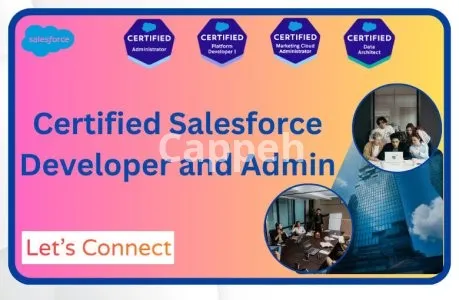 I will be your salesforce developer and salesforce admin
