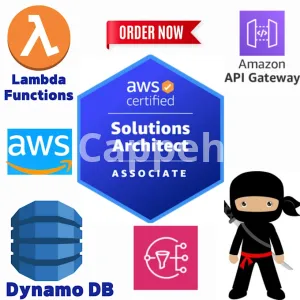 I will build and deploy AWS cloud infrastructure using pulumi cdk