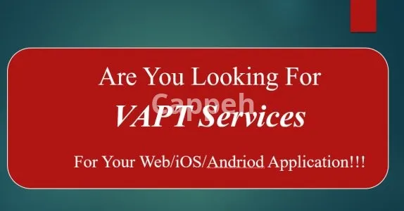 I will provide professional vapt services with fast delivery in 3 days