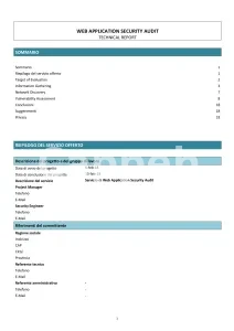 I will assess threats and vulnerabilities in your internet website