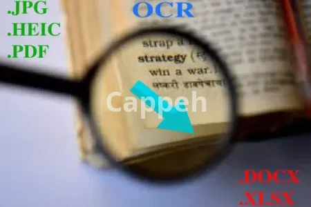I will convert your scanned document to text using ocr software