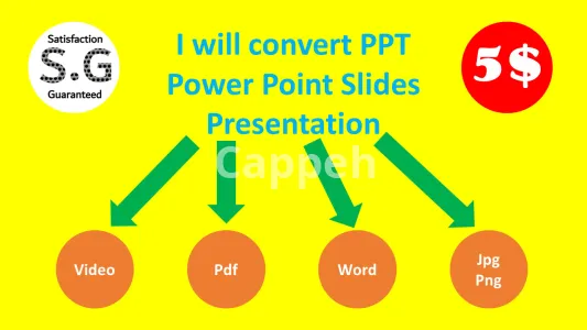 I will convert powerpoint presentation slides ppt or template into video with audio