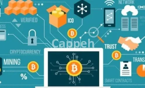 I will deploy smart contracts on ethereum, binance smart chain, and more