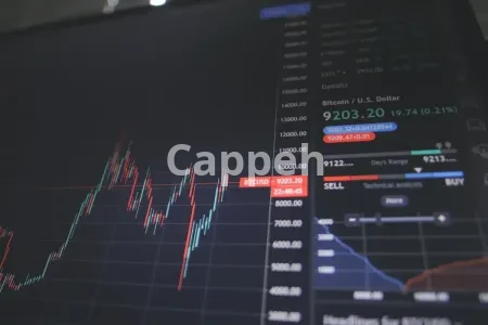 I will do expert pine script coding and custom trading strategies