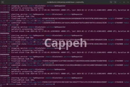 I will sei private node, rpc link, on a bare metal server on sei chain