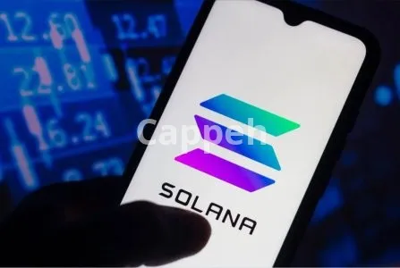 I will build meme coin presale, staking app pump fun on ton solana evm
