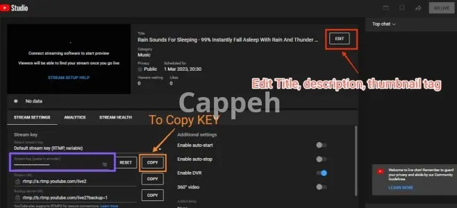 I will 247 live streaming youtube pre recorded video