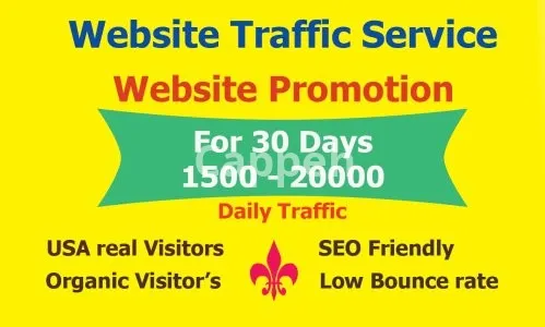 I will do organic website promotion for 30 days