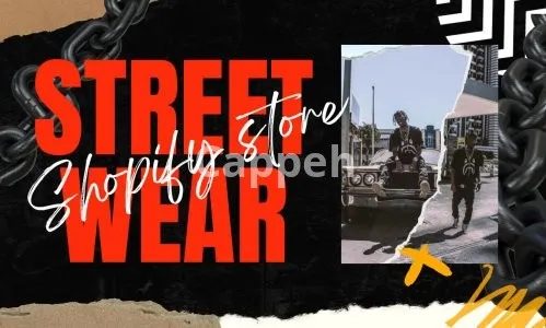 I will design streetwear y2k shopify website for clothing brand