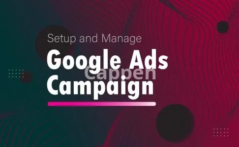 I will setup and manage google ads campaign