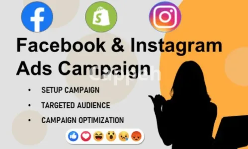 I will do shopify facebook ads campaign, run fb ads campaign, fb advertising, marketing