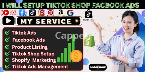 I will setup tiktok facebook ads for tiktok shop sales to complete shopify marketing