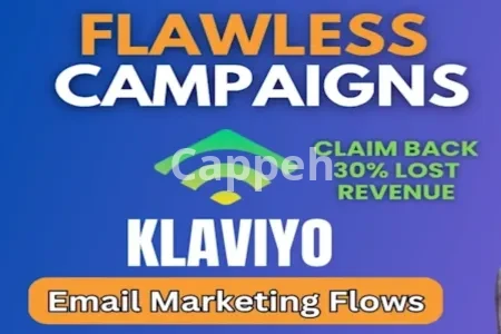 I will setup flawless klaviyo email marketing flows and campaigns