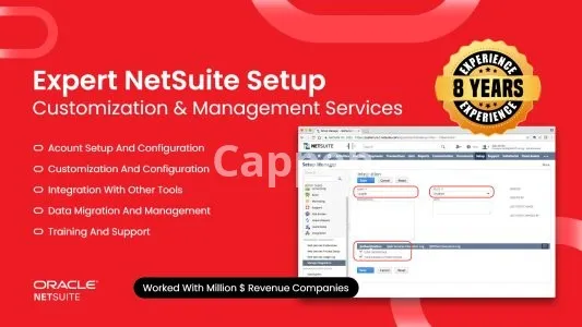 I will setup netsuite with customization and management services